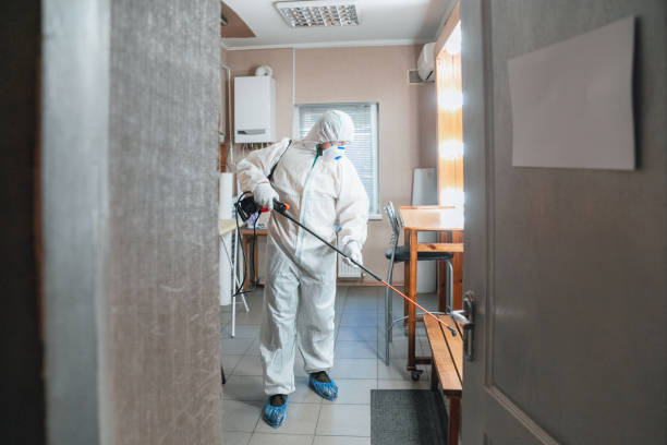 Best HVAC Mold Inspection and Cleaning  in Vail, AZ