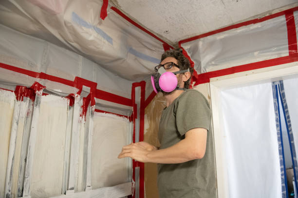 Best Industrial Mold Remediation  in Vail, AZ