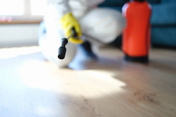 Best Commercial Mold Inspection  in Vail, AZ
