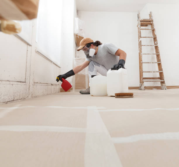 Best Water Damage & Mold Remediation  in Vail, AZ